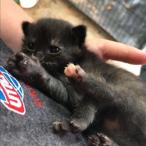 Meet your Posher, Zoe